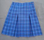 Senior Girls Skirt image